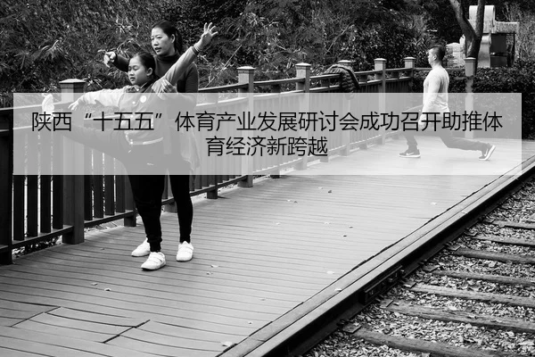 陕西“十五五”体育产业发展研讨会成功召开助推体育经济新跨越